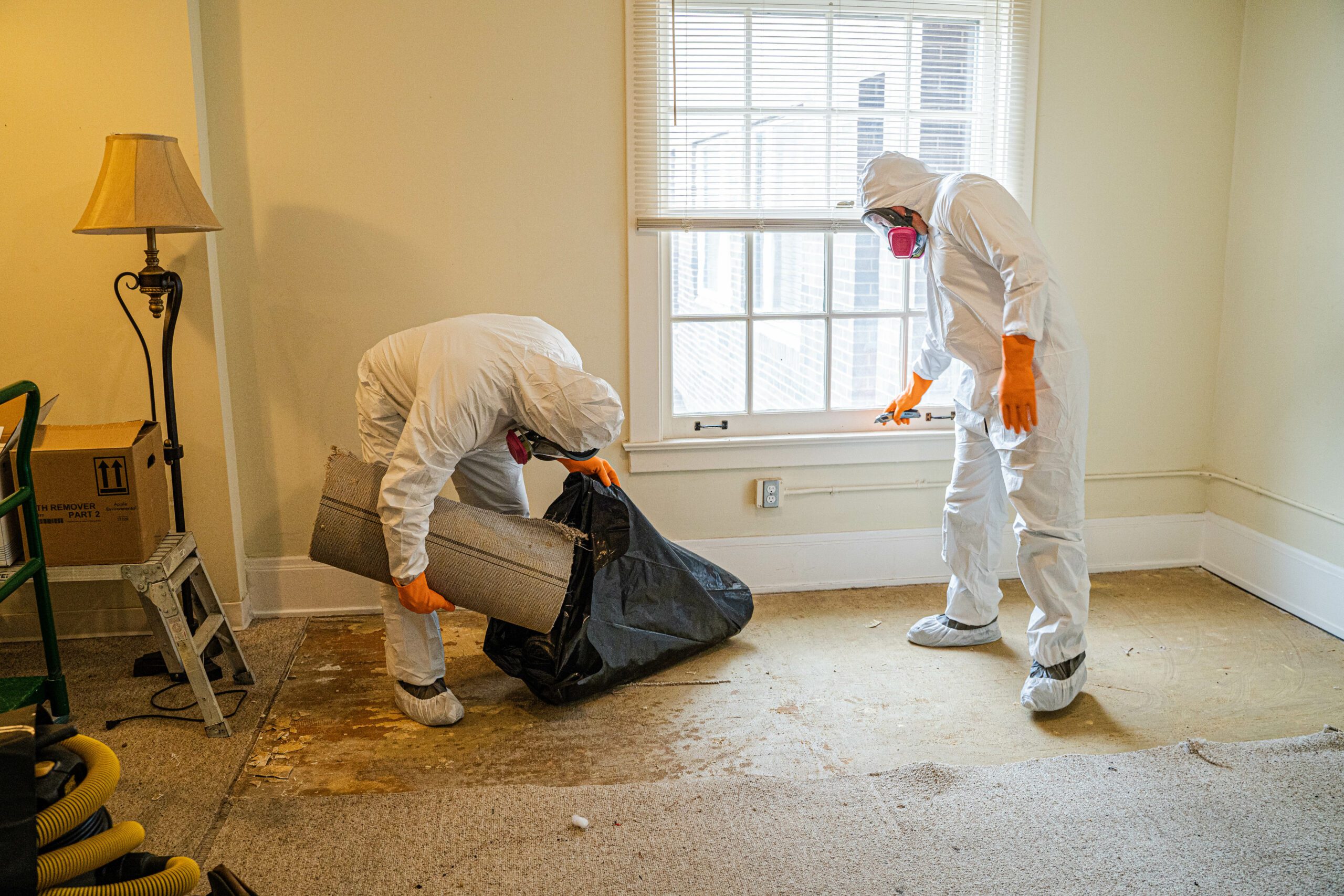asbestos removal company